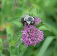 View photo in a new window