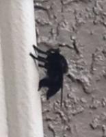 View photo in a new window