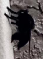 View photo in a new window