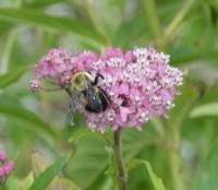 View photo in a new window