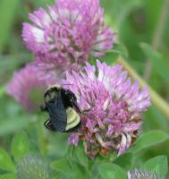 View photo in a new window