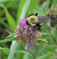 View photo in a new window