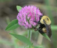 View photo in a new window