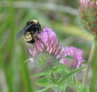 View photo in a new window