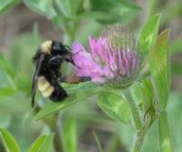 View photo in a new window