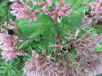 View photo in a new window