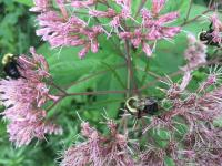 View photo in a new window