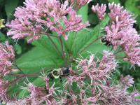 View photo in a new window