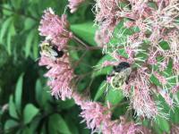 View photo in a new window