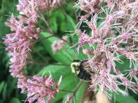 View photo in a new window