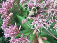 View photo in a new window