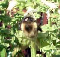 View photo in a new window