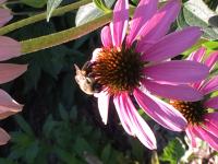 View photo in a new window