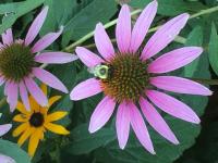 View photo in a new window