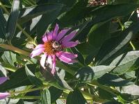 View photo in a new window