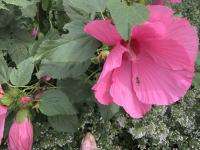 View photo in a new window