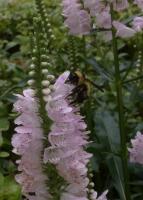 View photo in a new window