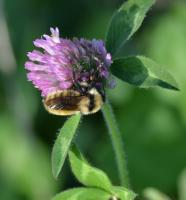 View photo in a new window