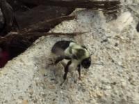 View photo in a new window