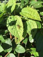 View photo in a new window