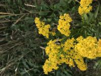 View photo in a new window