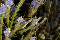 View photo in a new window