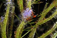 View photo in a new window