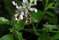 View photo in a new window