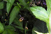 View photo in a new window