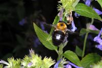 View photo in a new window