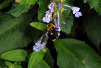 View photo in a new window