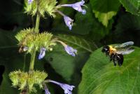 View photo in a new window