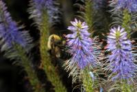 View photo in a new window