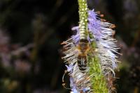 View photo in a new window