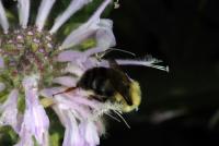 View photo in a new window