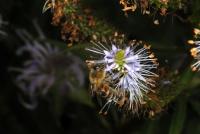 View photo in a new window