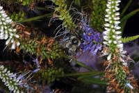 View photo in a new window