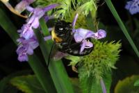 View photo in a new window