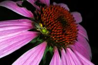 View photo in a new window