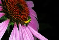 View photo in a new window