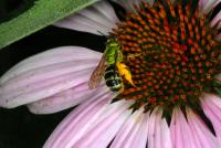 View photo in a new window