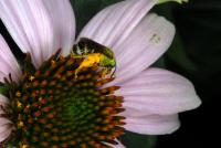 View photo in a new window