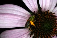 View photo in a new window