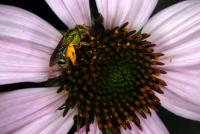 View photo in a new window