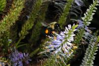 View photo in a new window