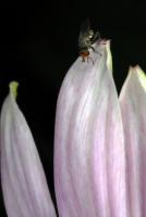 View photo in a new window