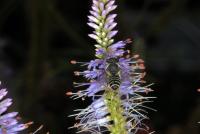 View photo in a new window