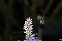 View photo in a new window