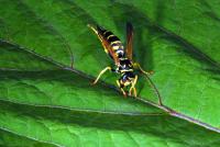 View photo in a new window