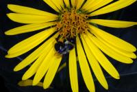 View photo in a new window